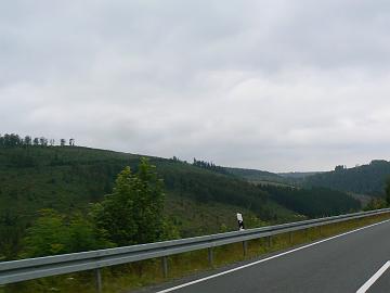 Jarvo (251)